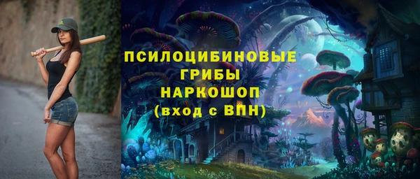 apvp Балабаново