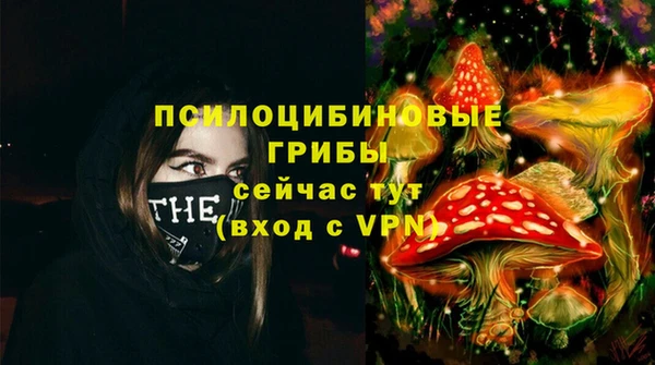 apvp Балабаново