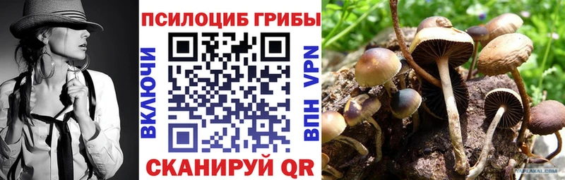 Галлюциногенные грибы Cubensis дарнет шоп Поворино